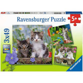 Puzzle Süsse Samtpfötchen, 3 x 49 Teile
