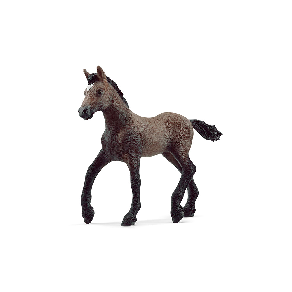 Schleich Paso Peruano Fohlen