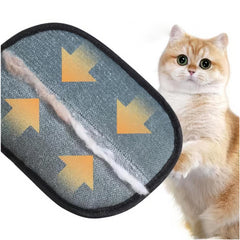 Tierhaar-Entfernen Handschuh