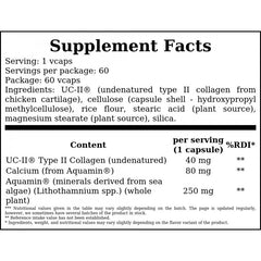 UC-II Collagen Typu II 40mg - 60vcaps. x12