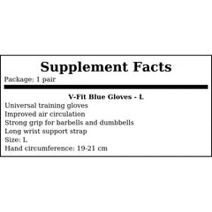 V-Fit Blue Gloves - L