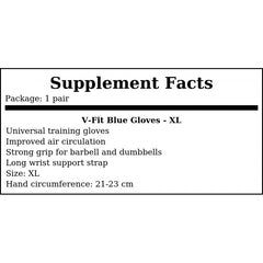 V-Fit Blue Gloves - XL