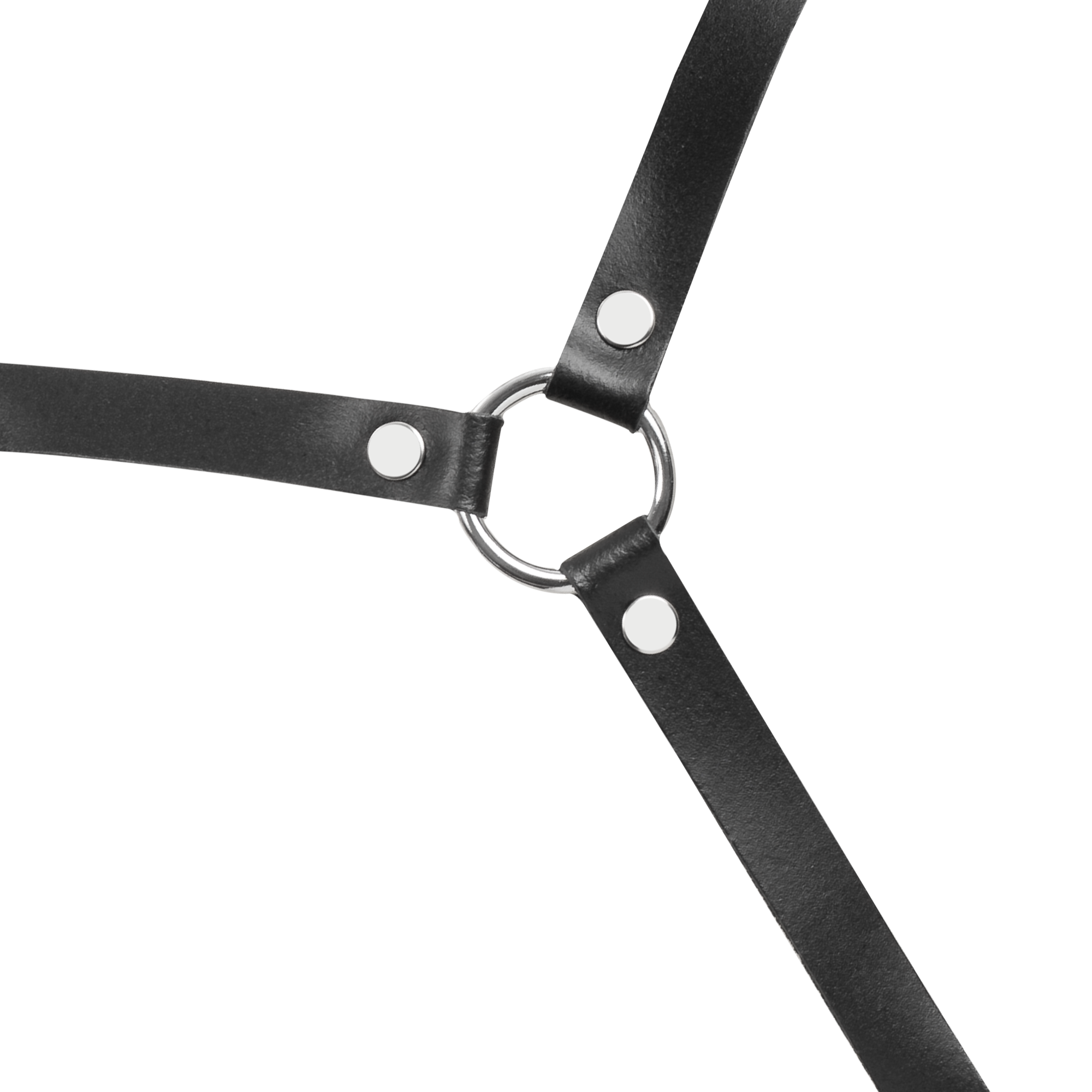 6: Rimba Bondage Play – Leder-Körperharnisch – Schwarz
