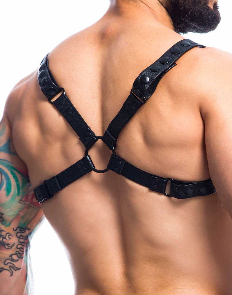 H4RNESS by C4M – Party-Harness – Schwarz