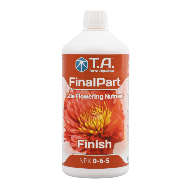 T.A. Final Part, 1 L (GHE Ripen)