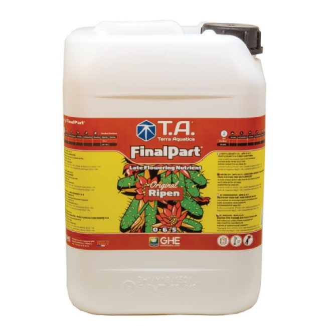 T.A. Final Part, 10 L (GHE Ripen)