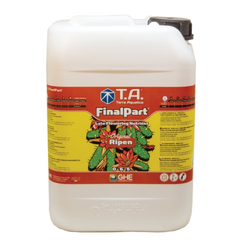 T.A. Final Part, 10 L (GHE Ripen)
