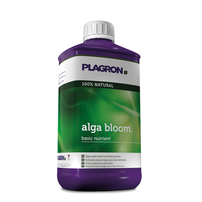 Plagron Alga Blüte, 100 ml