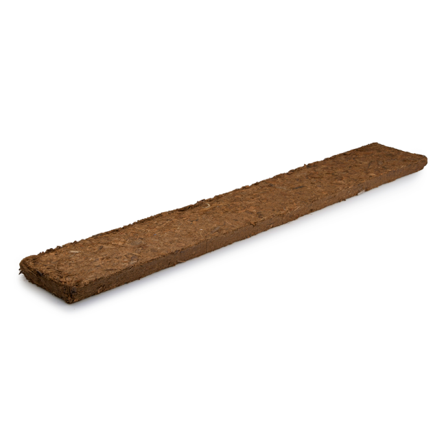 102801_bild_hinten.png