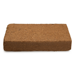 102803_bild_seite.png