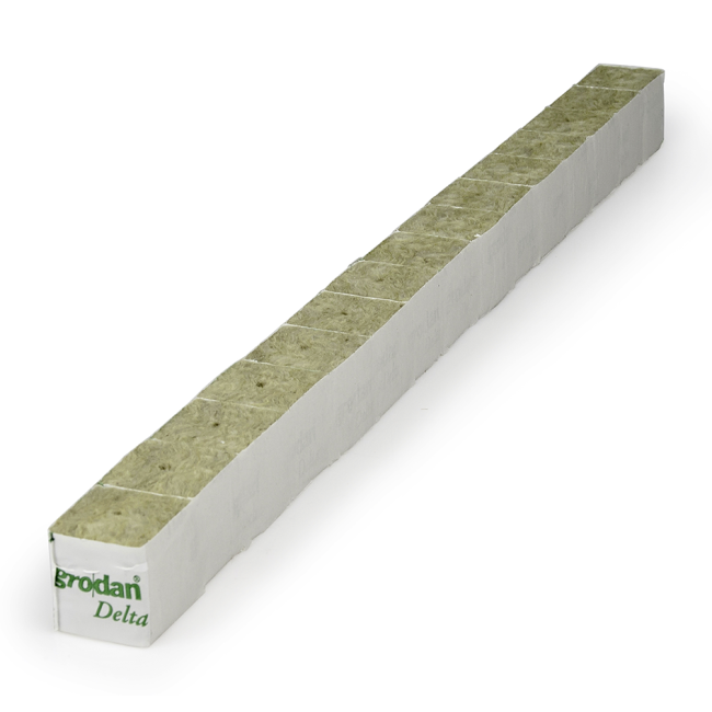 Grodan Miniblock, MM 40/40, passt in Art. 102819, 4 x 4 cm, 1 Strang à 15 St.