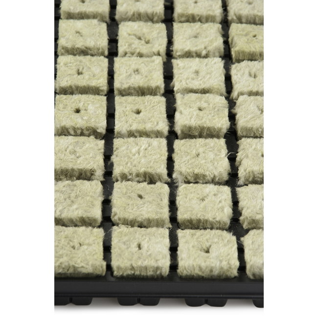 102823_bild_closeup.png