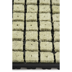 102823_bild_closeup.png
