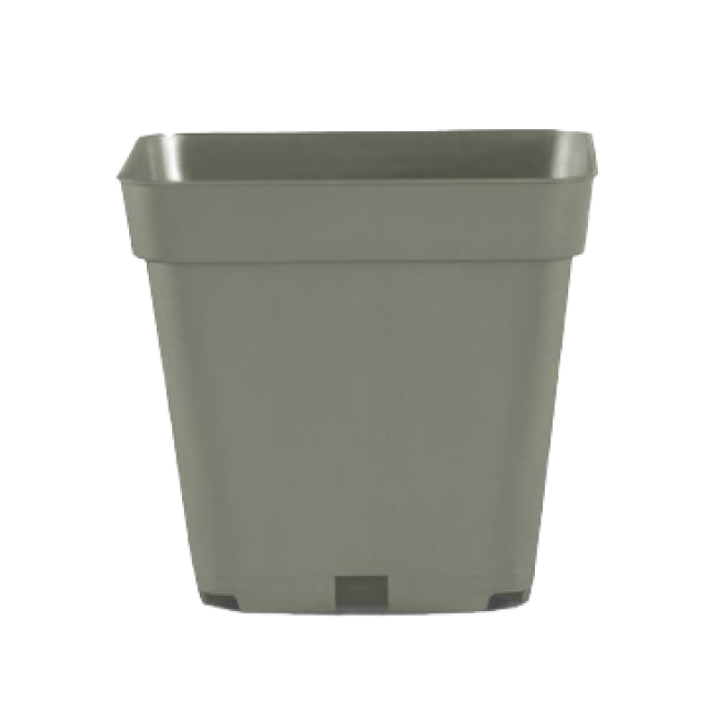 TEKU Topf, viereckig, stabil, 1,55 L, 13 x 13 x 13 cm
