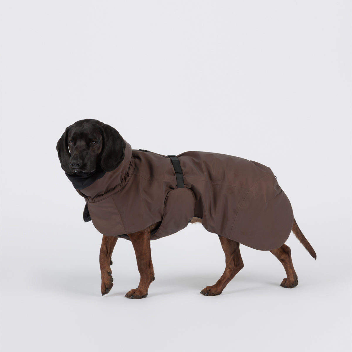 PAIKKA WINTERJACKE VISIBILITY SEAWOOL SCHOKO 45