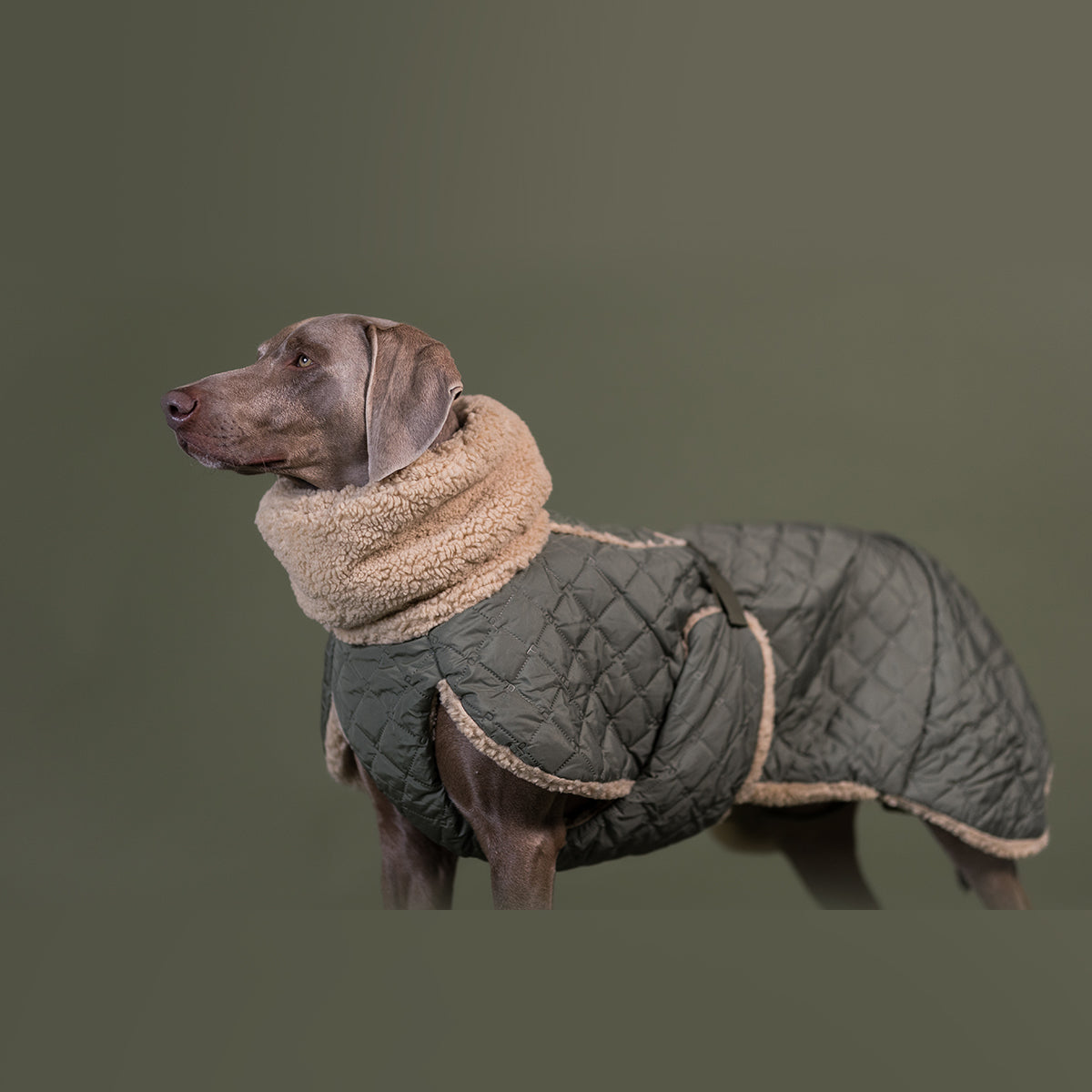 PAIKKA GESTEPPTE SHERPA-JACKE OLIVE 50