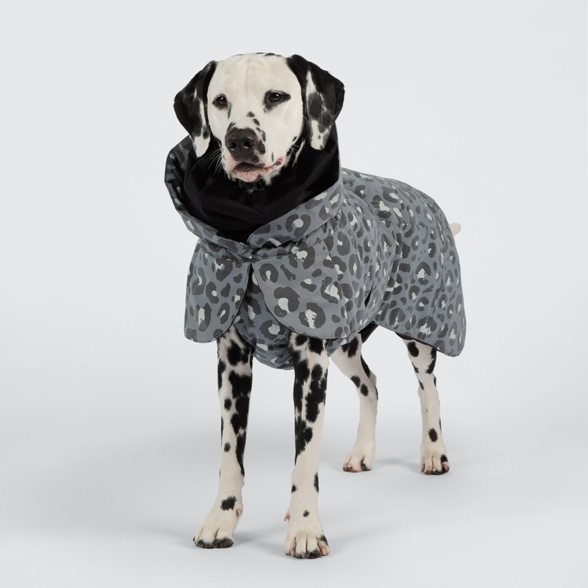 PAIKKA WINTERJACKE VISIBILITY SEAWOOL GRAU LEOPARD 25