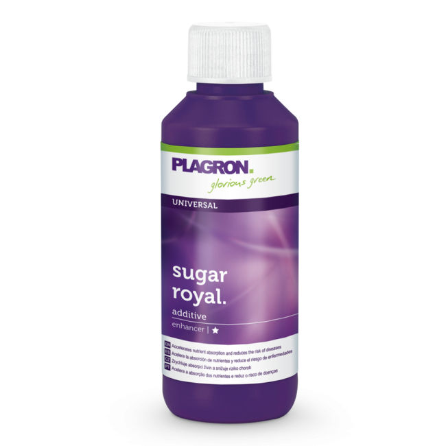 Plagron Sugar Royal 100 ml