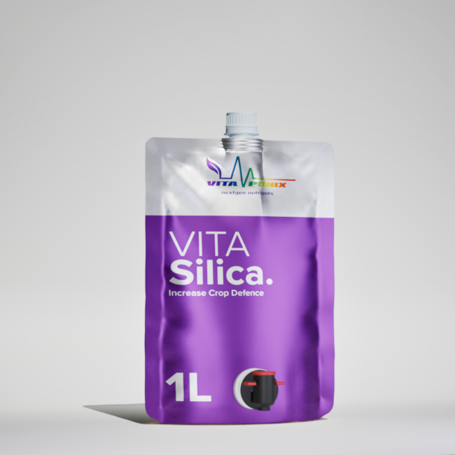 Vitaponix VitaSilica, Pflanzenhilfsmittel, 1 Liter