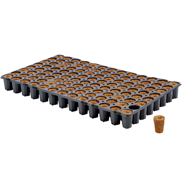 Eazy Plug CT104CF Stecklingsblöcke, Tray zu je 104 Blöcke