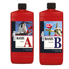 Mills Basis HC A und B, 1 L