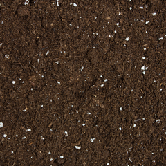 111820_bild_detail_01.png