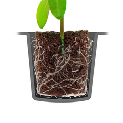 112312_bild_detail_01.png