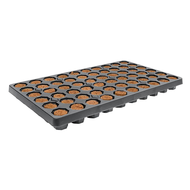 ROOT!T Anzuchtwürfel, torffrei, Tray mit 60 Stück