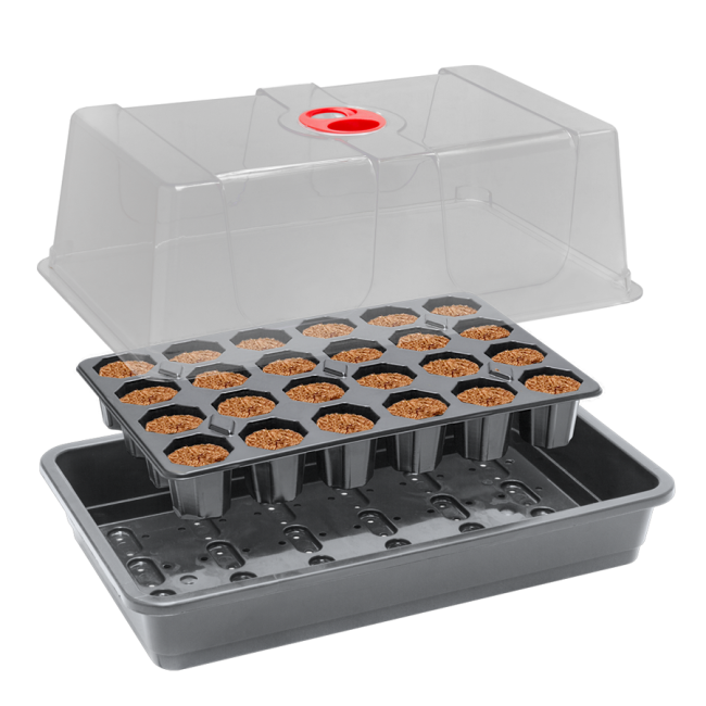 ROOT!T Anzucht-Set, incl. 24er Tray Anzuchtwürfel, torffrei + Gewächshaus