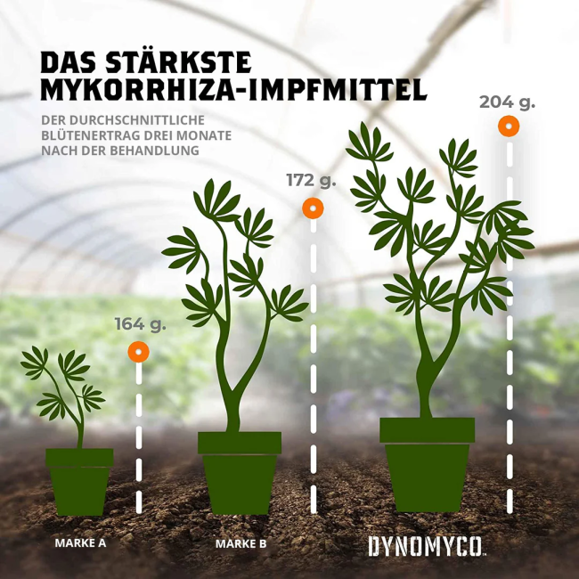DYNOMYCO Mykorrhiza Granulat Kleiner Beutel 340g
