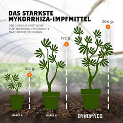 DYNOMYCO Mykorrhiza Granulat Kleiner Beutel 340g