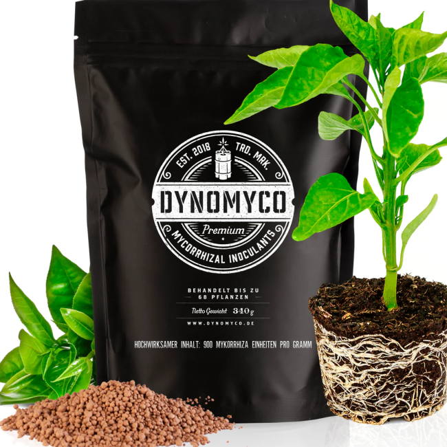 DYNOMYCO Mykorrhiza Granulat Kleiner Beutel 340g