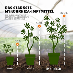 DYNOMYCO Mykorrhiza Granulat Stick 200g