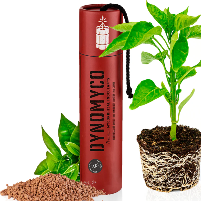 DYNOMYCO Mykorrhiza Granulat Stick 200g