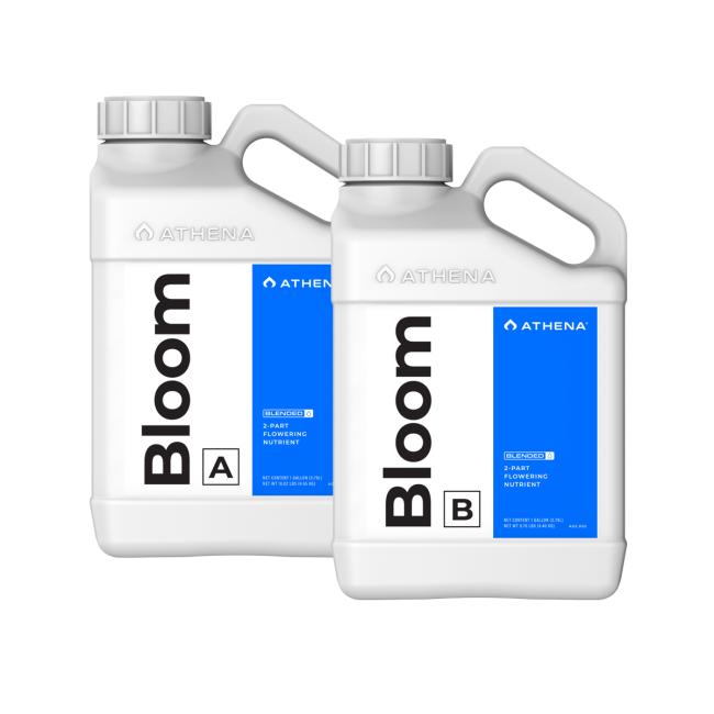 ATHENA Bloom A + B, je 3,79 L