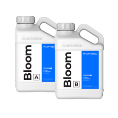 ATHENA Bloom A + B, je 3,79 L