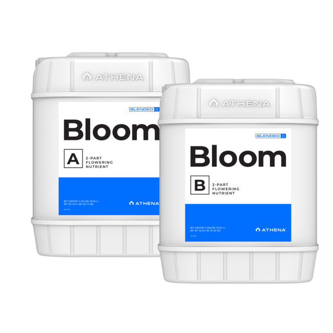 ATHENA Bloom A + B, je 18,9 L
