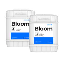 ATHENA Bloom A + B, je 18,9 L