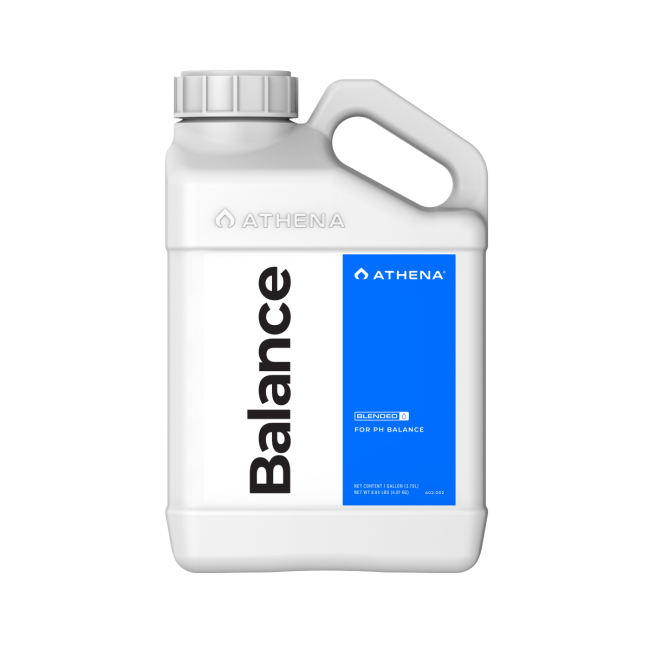 ATHENA Balance  3,79 L
