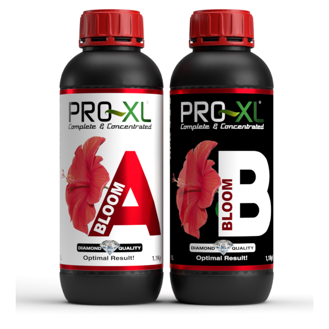PRO-XL Bloom A+B 1L