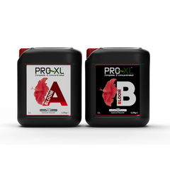 PRO-XL Bloom A+B 5L
