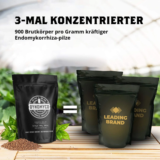 113014_bild_detail_02.png