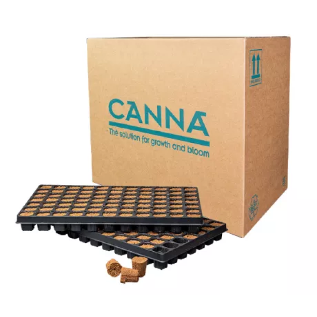 CANNA Rootplugs, 10 Trays, 770 Stück