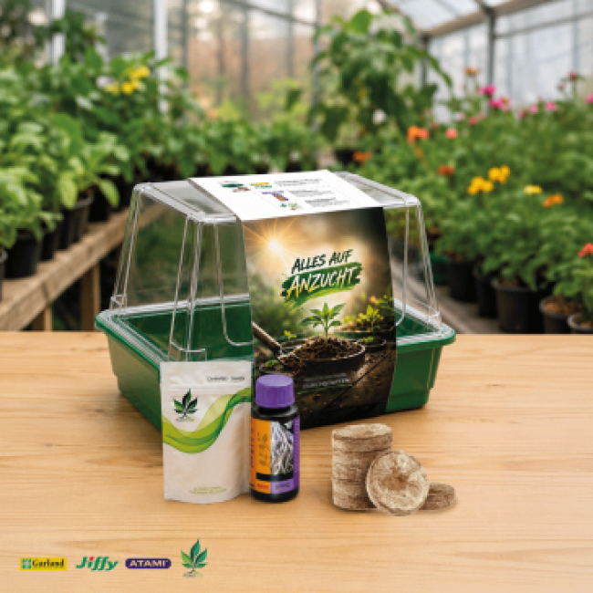 Grow In Samen Anzuchtsets - Atami Root Stimulator + Auto Super Bud