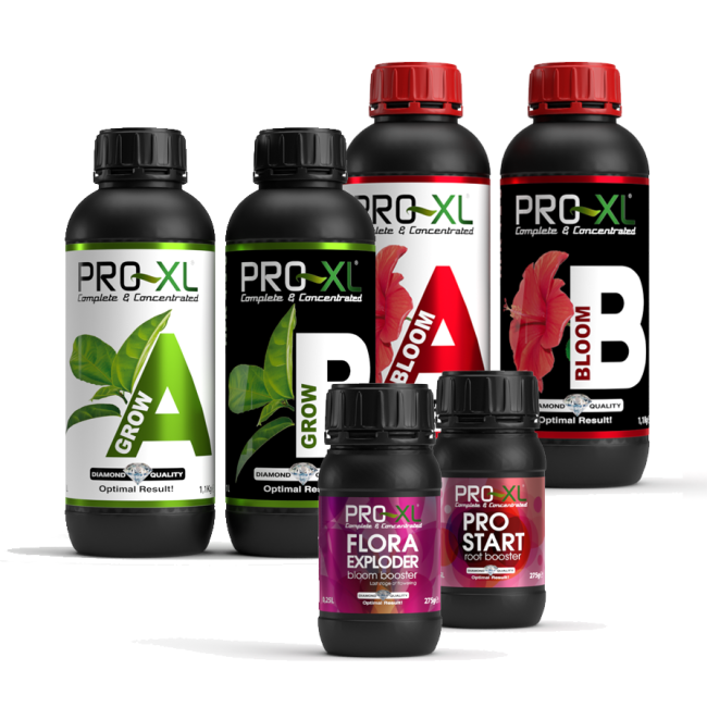 PRO-XL Starter Set