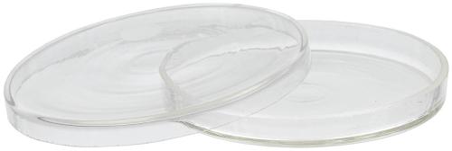 Schwed. Petrischale, Glas, neuwertig