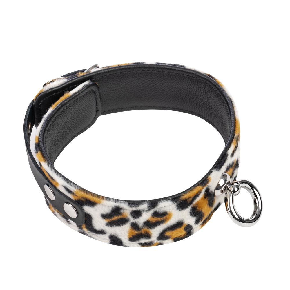 2: Rimba - Halsband 4 cm. breit
