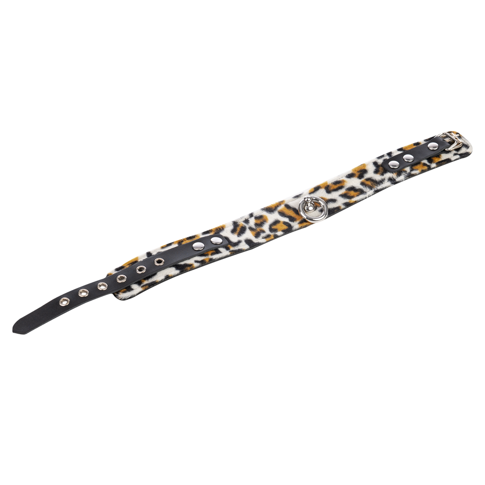 5: Rimba - Halsband 4 cm. breit