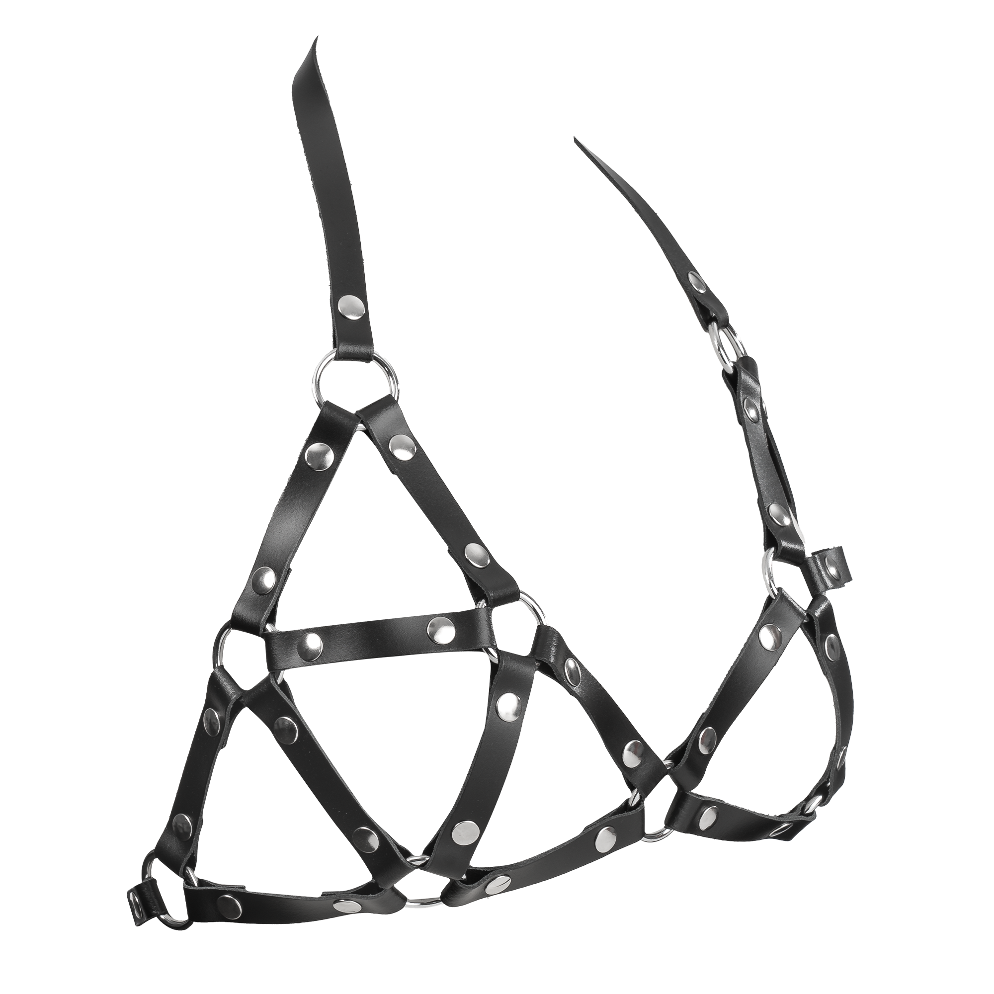 4: Rimba Bondage Play - Leather Chest Harness - Black