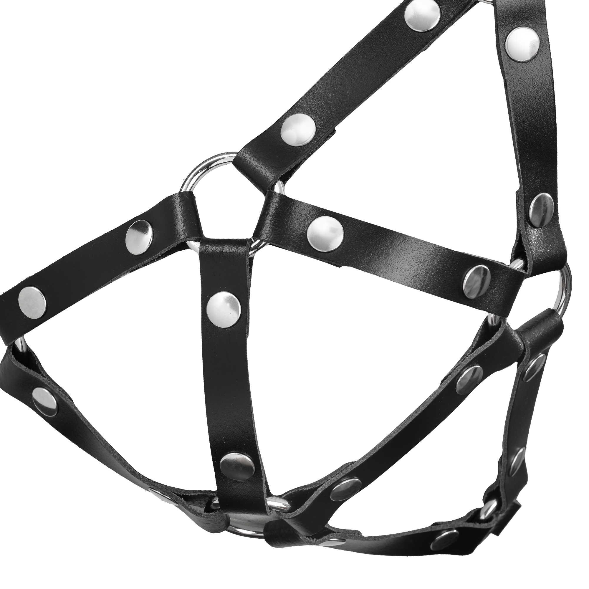 5: Rimba Bondage Play - Leather Chest Harness - Black